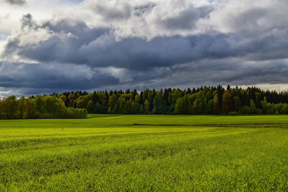 Photograph by Александр Тарасов