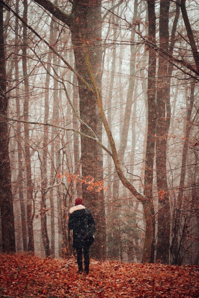 The transition between fall and winter