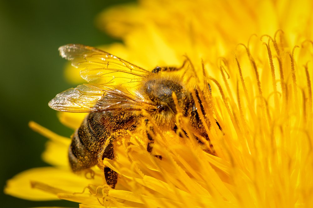 Фотография автора Зоя Галимова