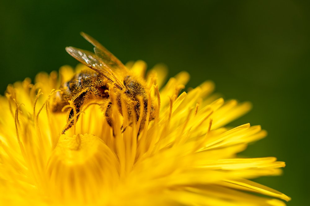 Фотография автора Зоя Галимова