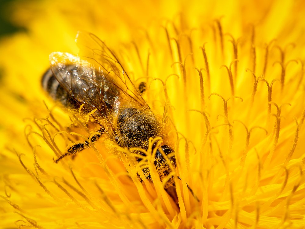 Фотография автора Зоя Галимова