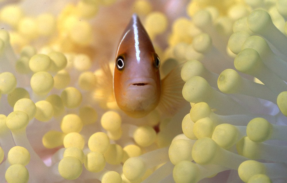 Photograph by David Spiel