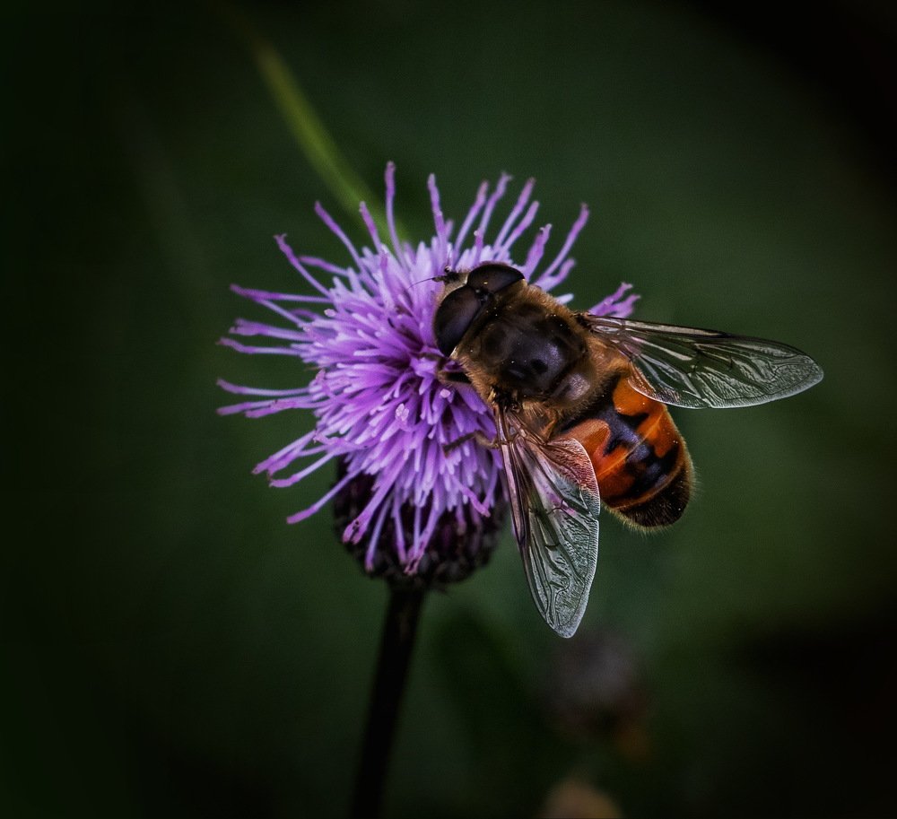 Photograph by Евгений Михеев