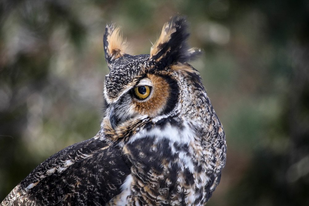 Photograph by Olga Vasina