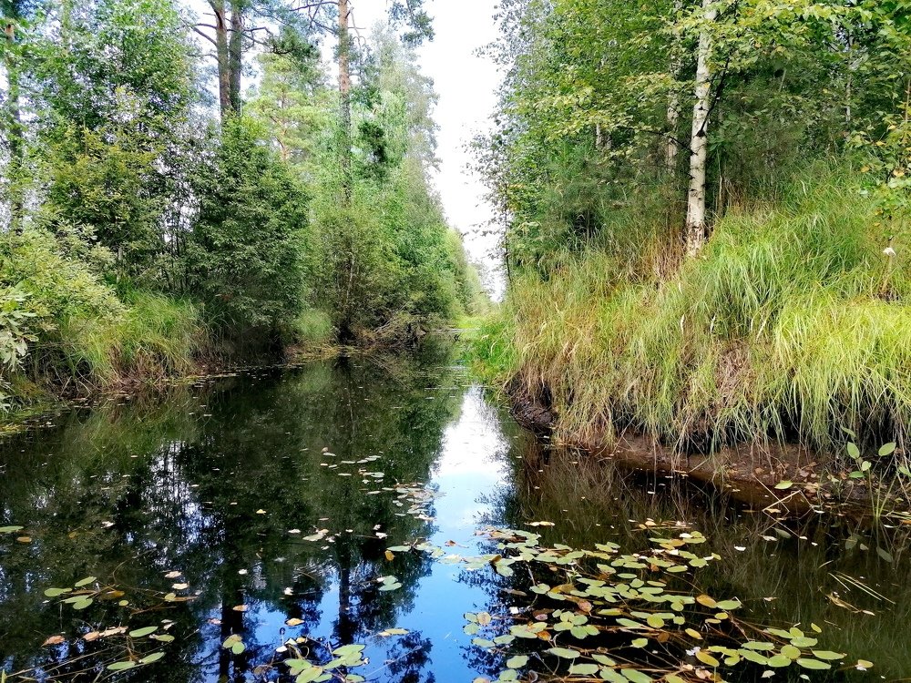 Photograph by Анастасия Прейс