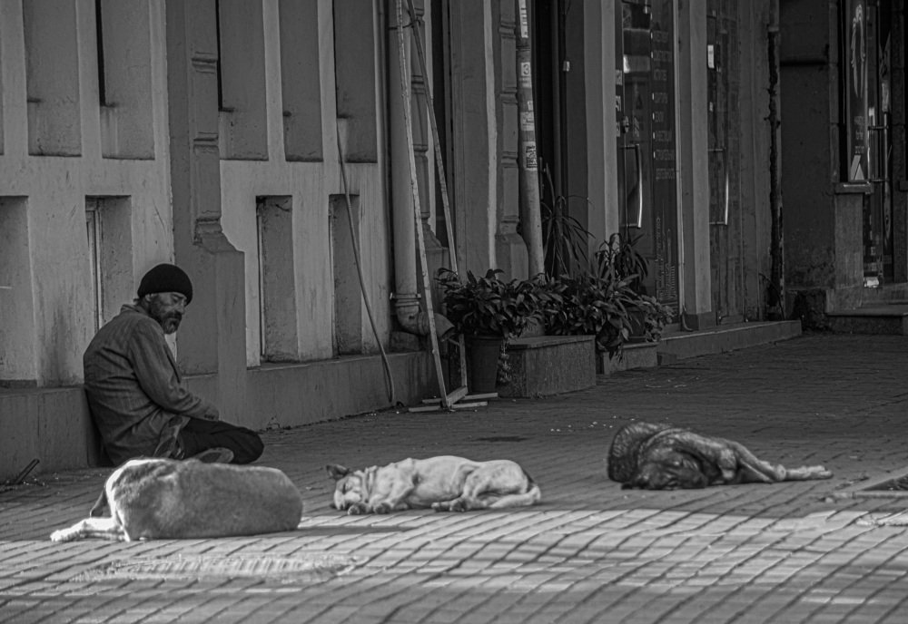 друзья по несчастью