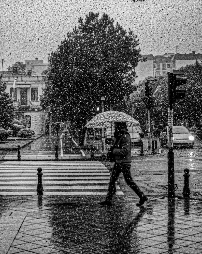 Photograph by vladimir khukhunalshvili