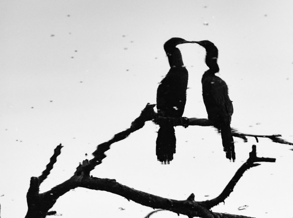 Photograph by Asamanj Maiti