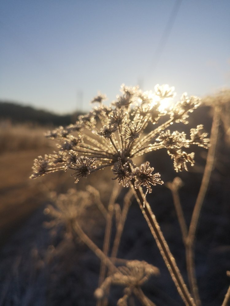 Photograph by Елизавета Фирстова