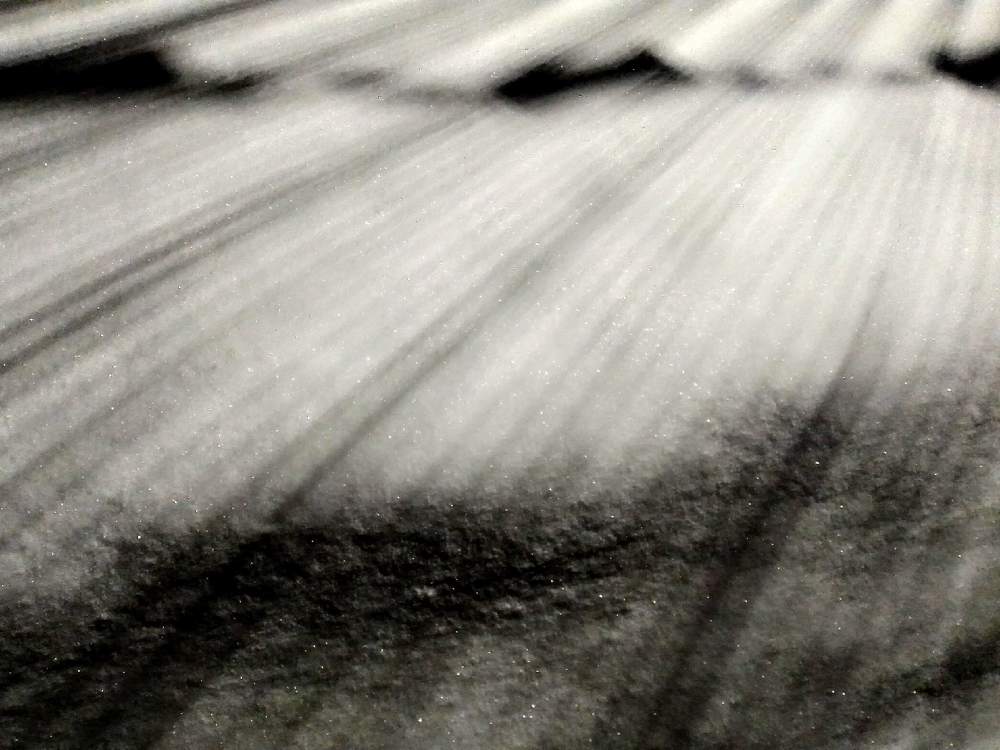 Photograph by Алёна Пичугина