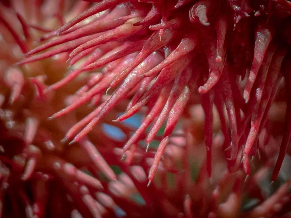 Photograph by Марина Хавронина