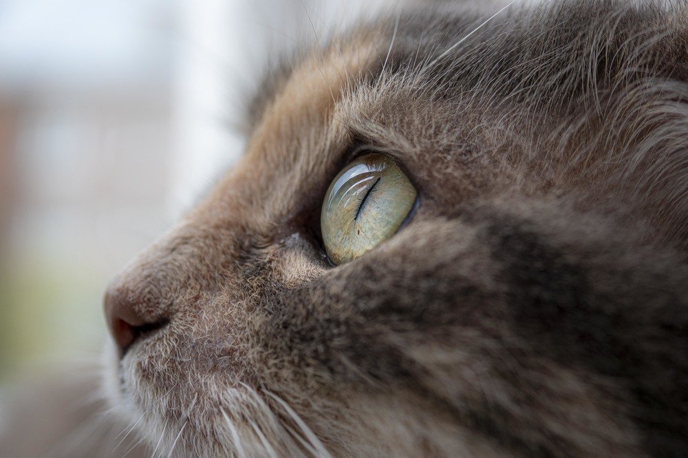 Photograph by Андрей Ныриков