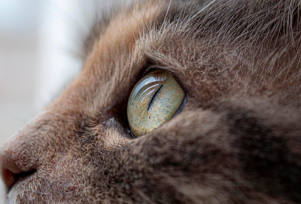 Photograph by Андрей Ныриков