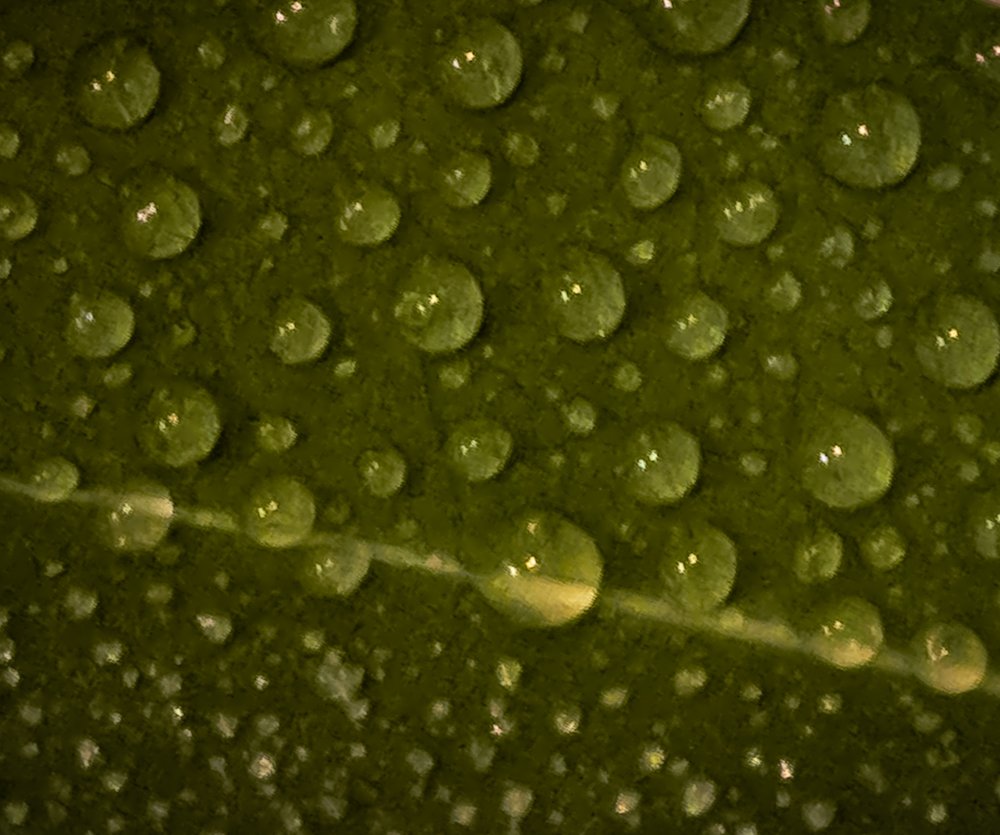 Photograph by Марина Хавронина