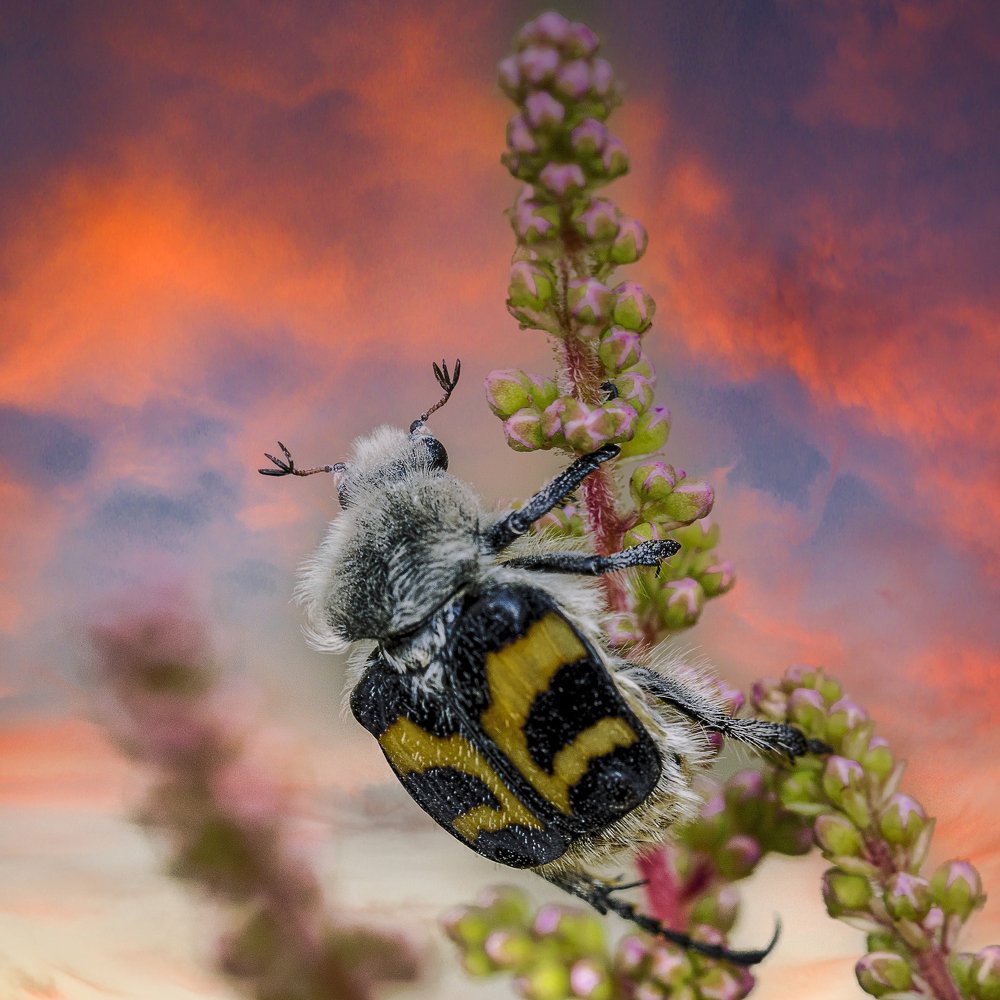 Photograph by николай земцов