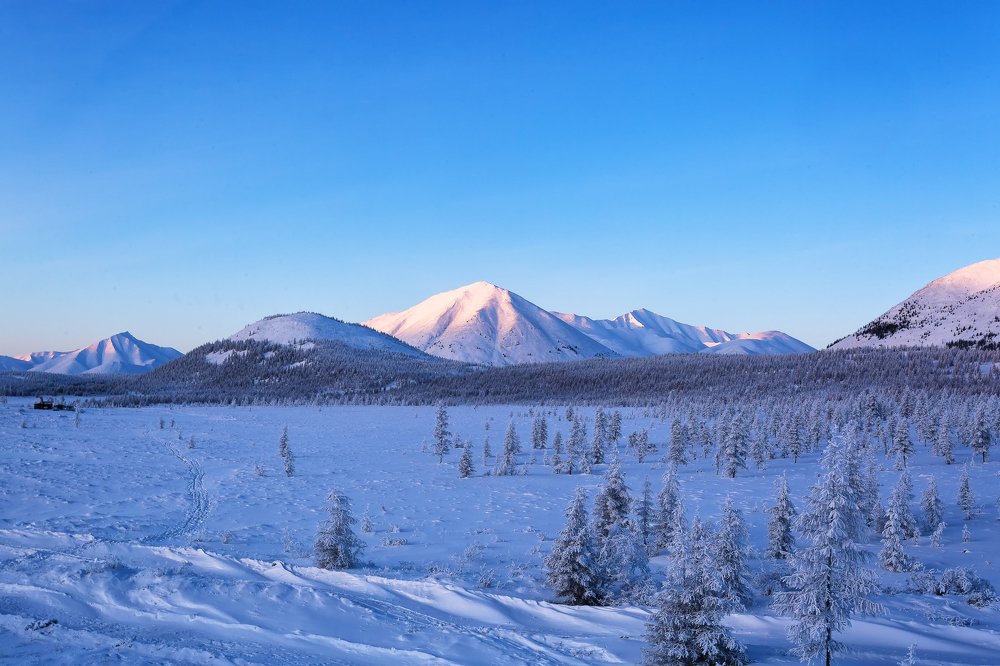 Зимний день .