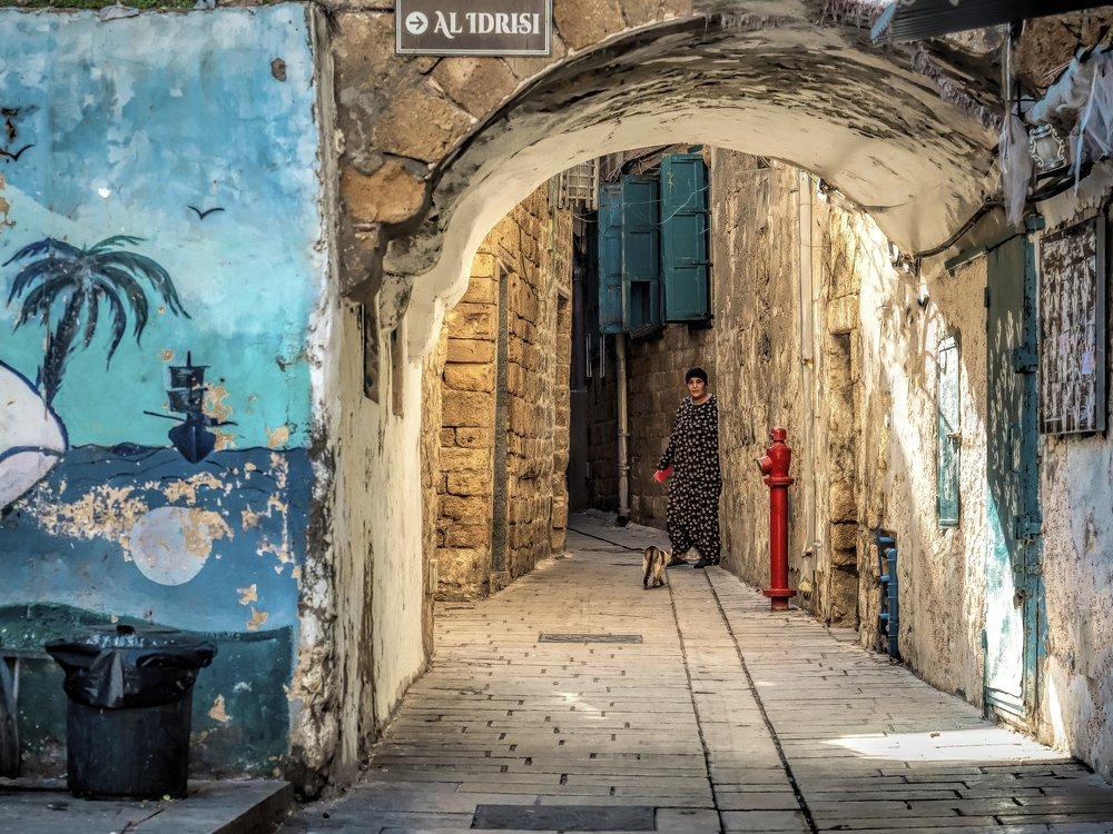 Photograph by Semion Ribinik