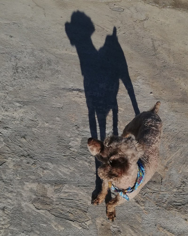 Photograph by Andrea Alcalá