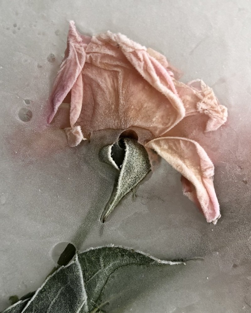 Photograph by Юлия Отставнова