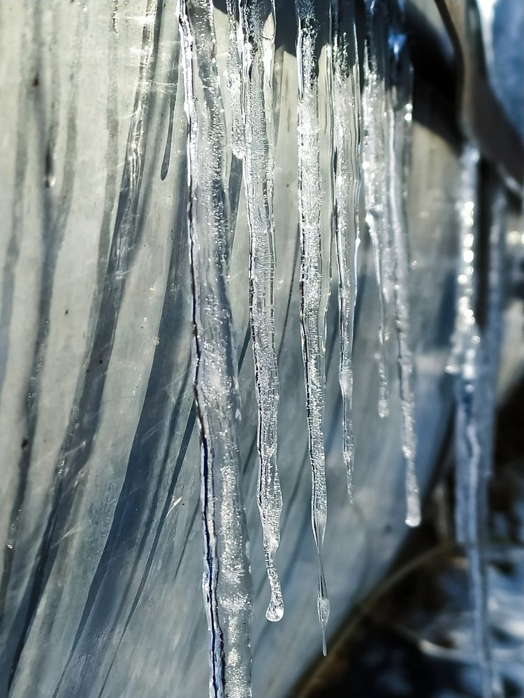 Photograph by Екатерина Зубарева