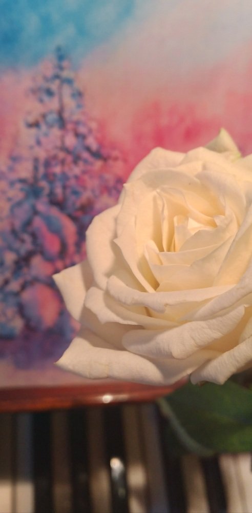 Photograph by Любовь Макарова