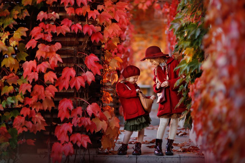 Photograph by Склярова Анастасия