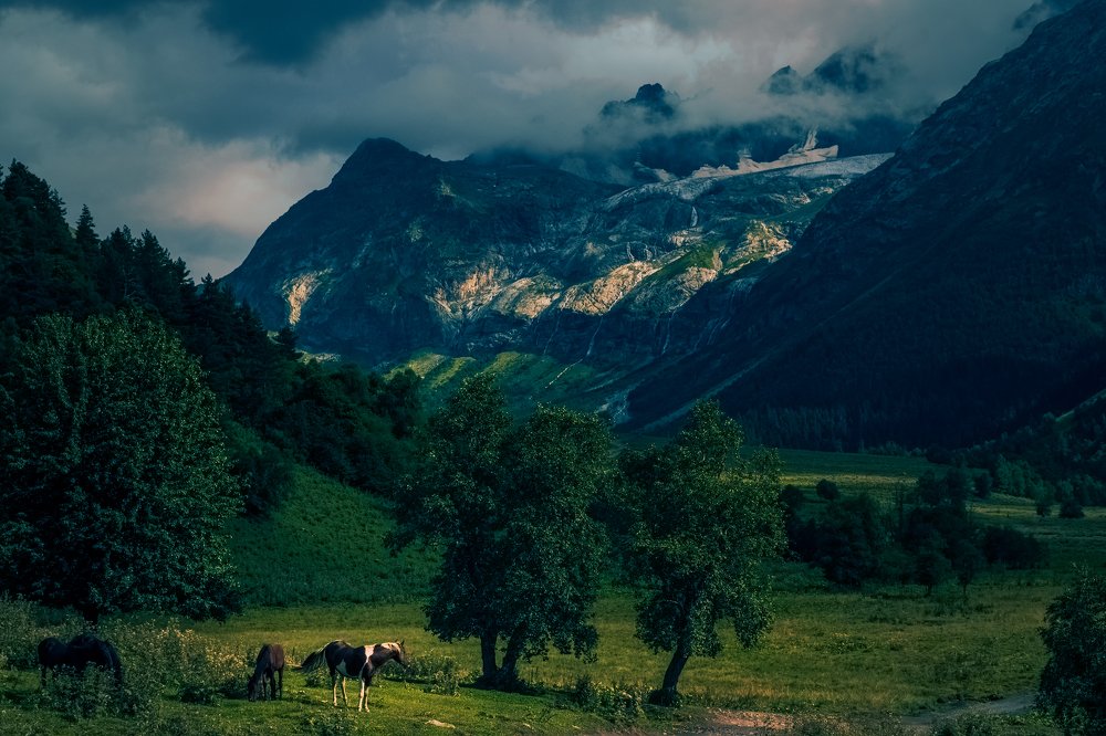 За 5 минут до грозы.