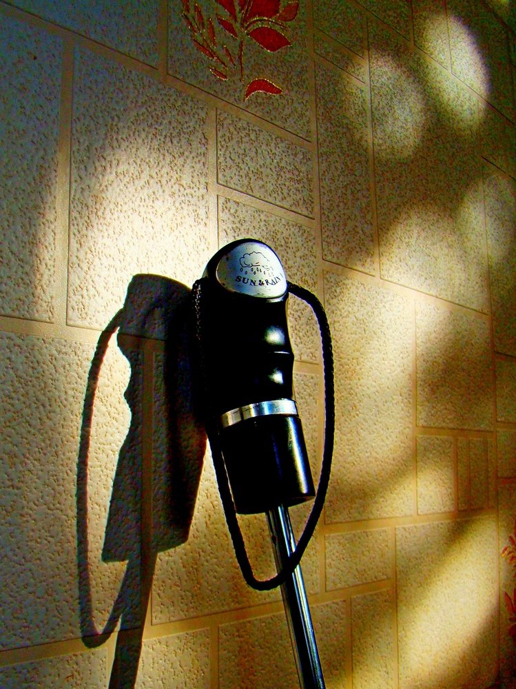 Photograph by Евгений Бригиневич - Снежин