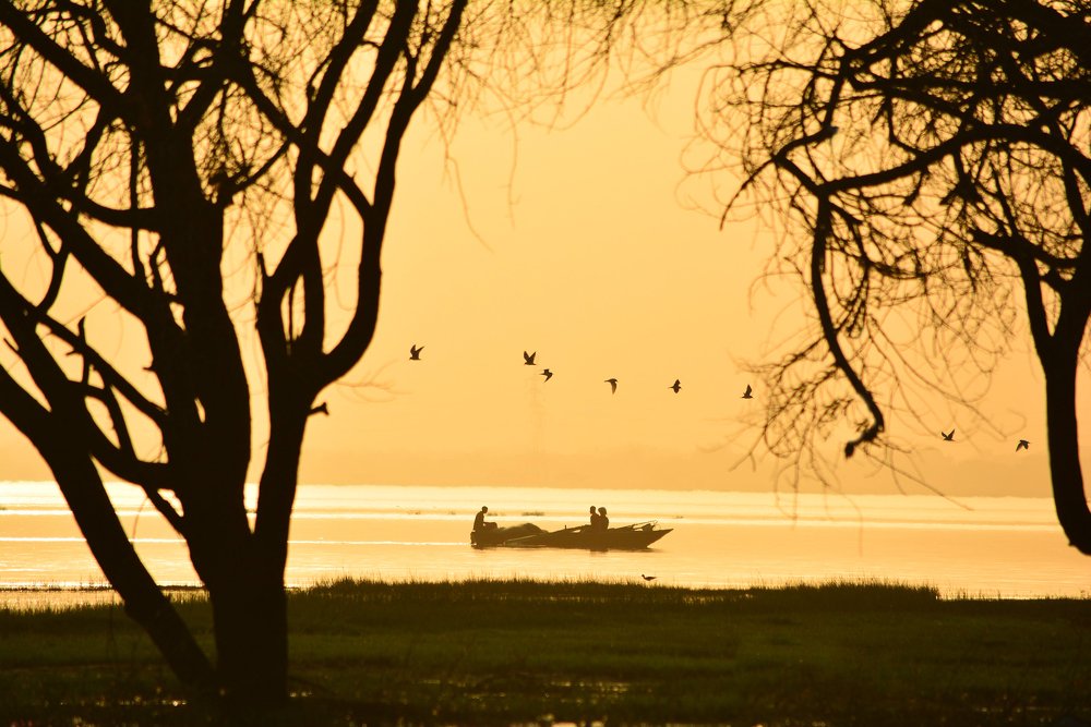 Photograph by ABDALLA Obada Abdelwahab