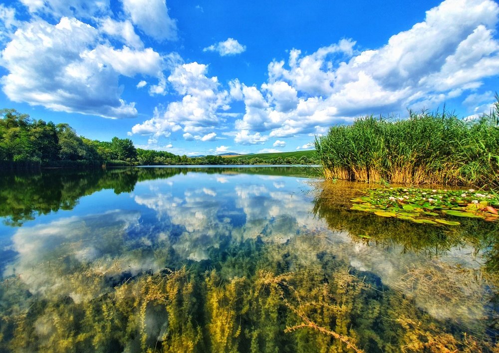 Photograph by Viktória Smid