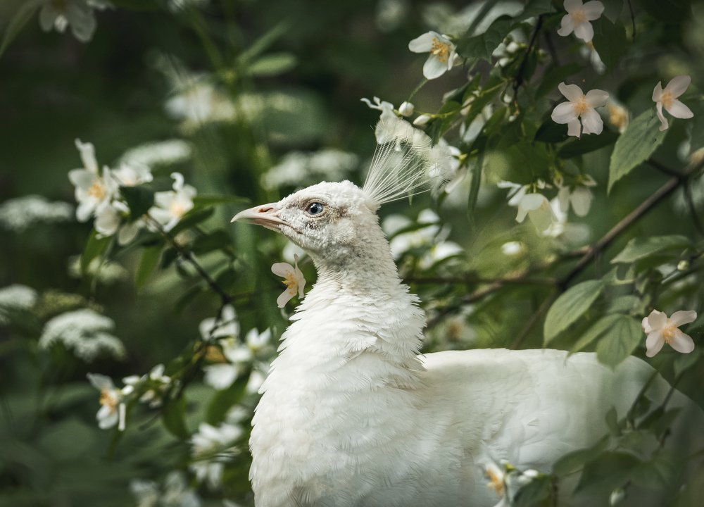 Photograph by Anna Kuzkina