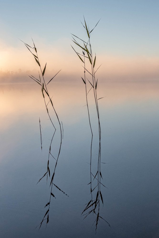 Хрупкая безмятежеость