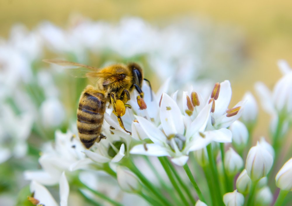 Photograph by Viktória Smid