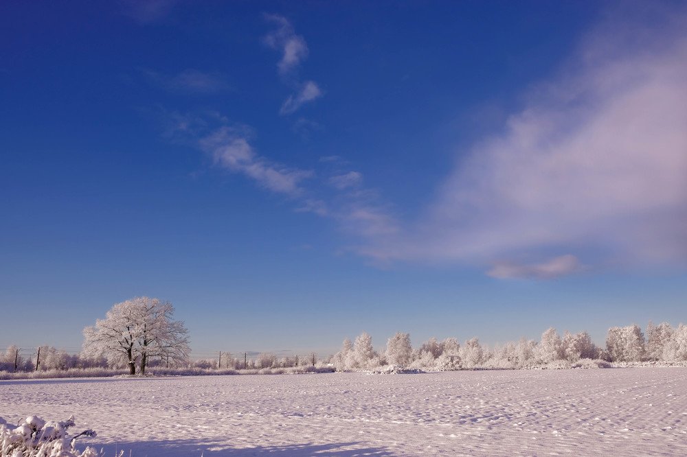 Photograph by Sandra