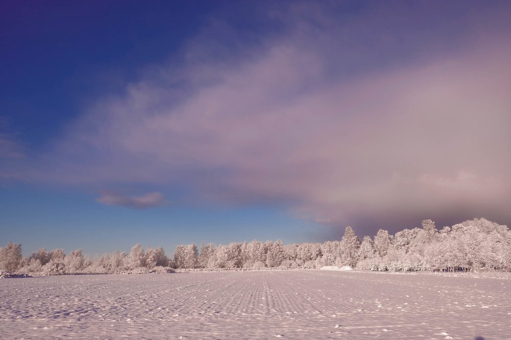 Photograph by Sandra