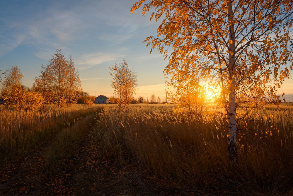 Красный рассвет