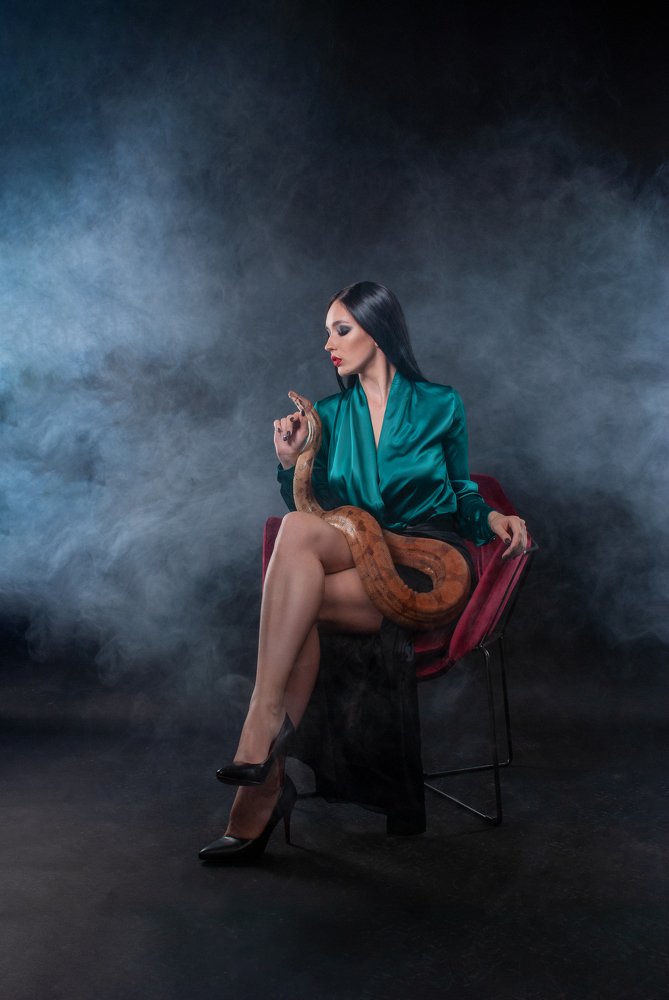 Фотография автора Vladimir Shevchenko