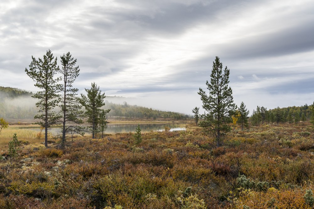 Autumn in the mountain  plains