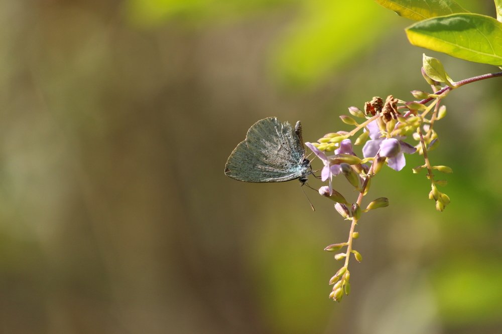 Photograph by Sourav Mahant