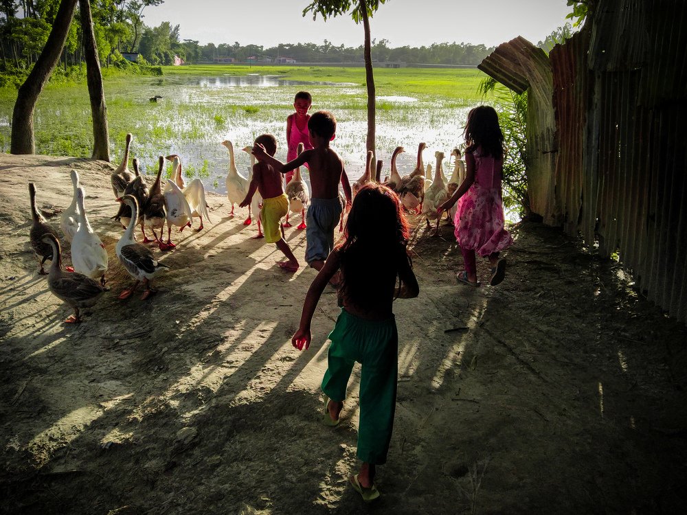 Photograph by Tanvir Ahmed Tanvir