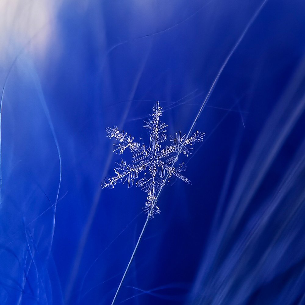 Фотография автора Наталья