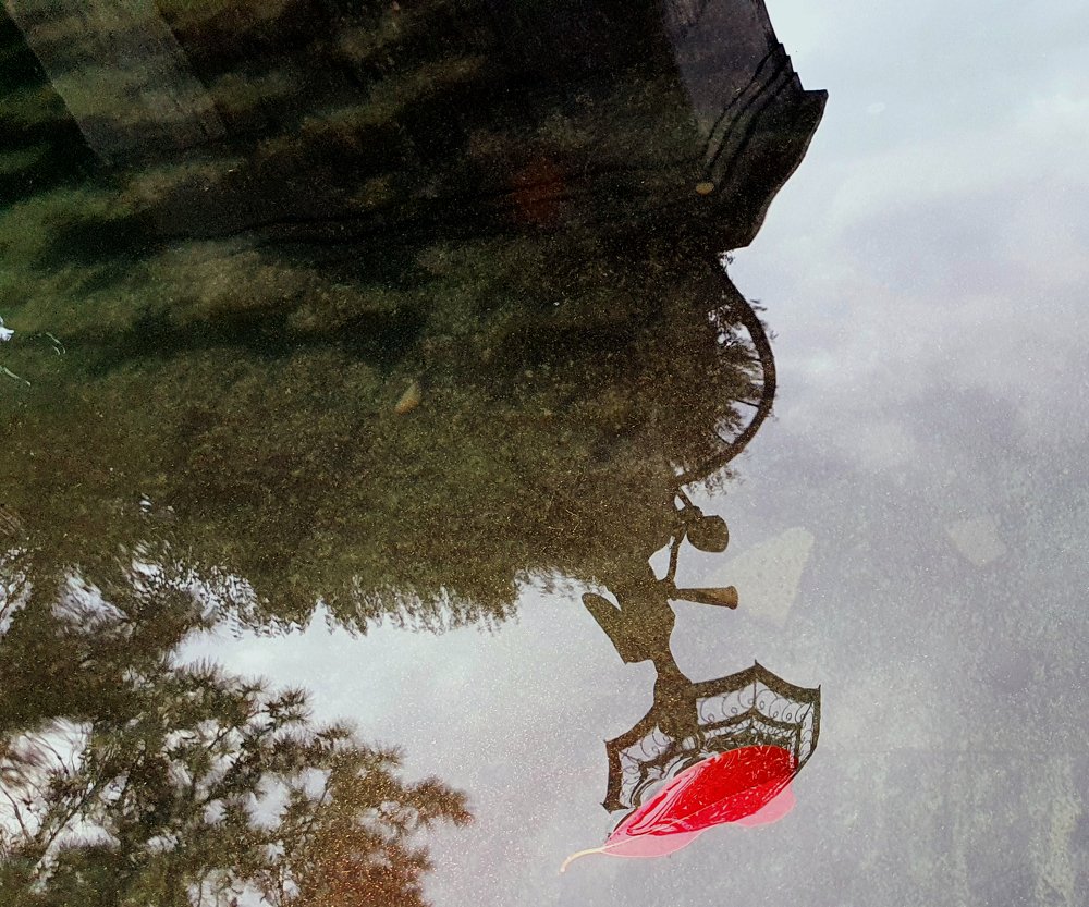 Photograph by Anita Mar