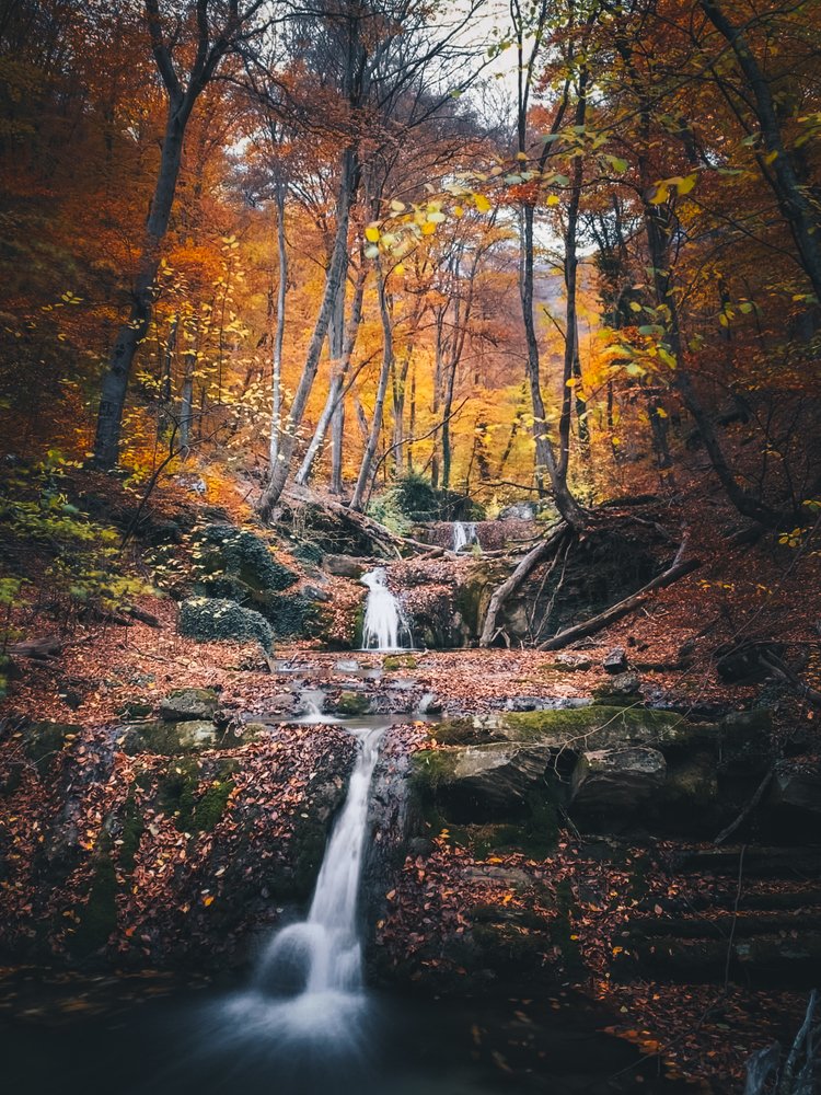 Photograph by Вера Силкина