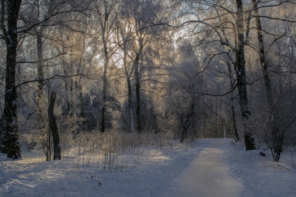 Зимнее солнце