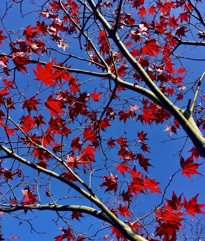 Photograph by Svetlana Kornilova