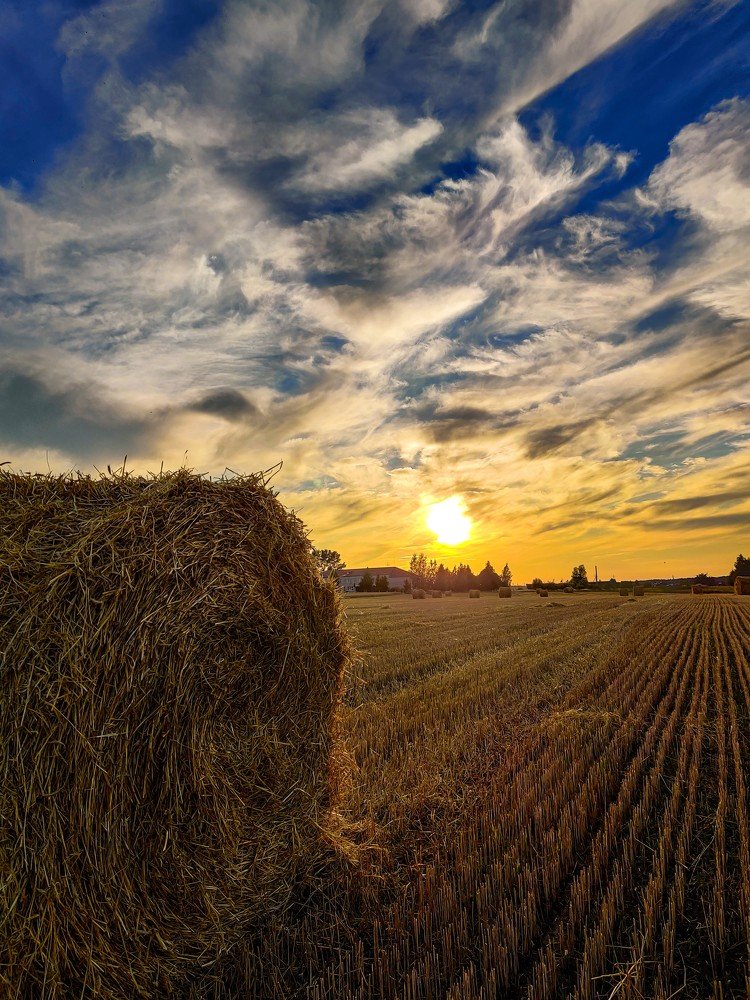 Photograph by Елена Башмакова