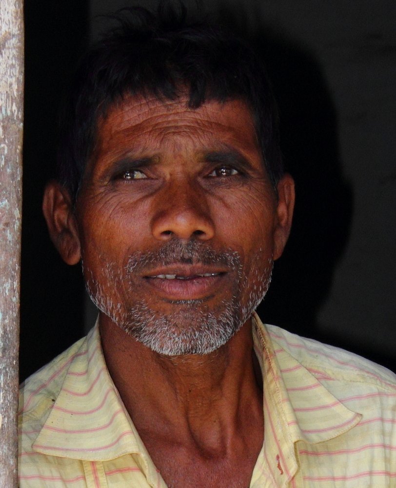 Looking into the future