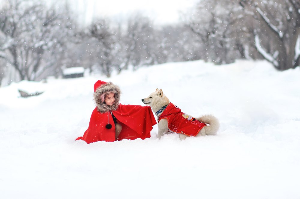 Photograph by mohsen mikaeili