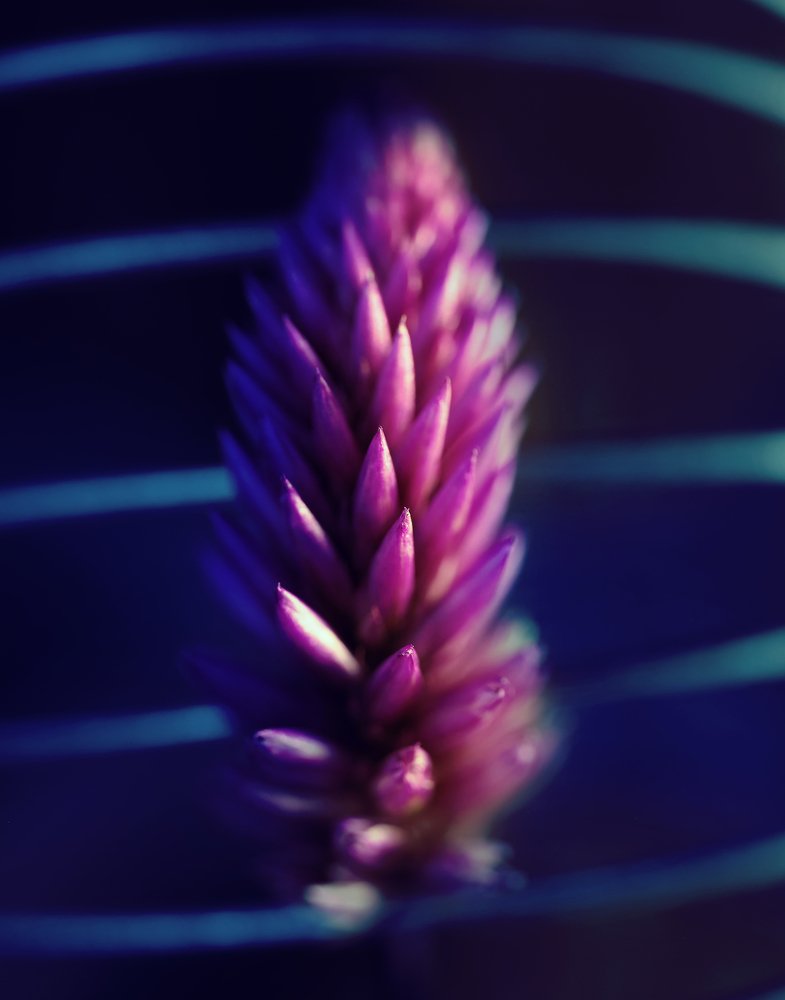 Фотография автора John Bernard Triumfante