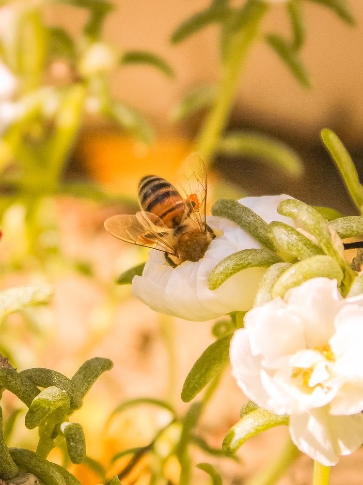 Photograph by Noora HT